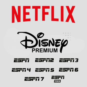 COMBO NETFLIX - DISNEY PREMIUM